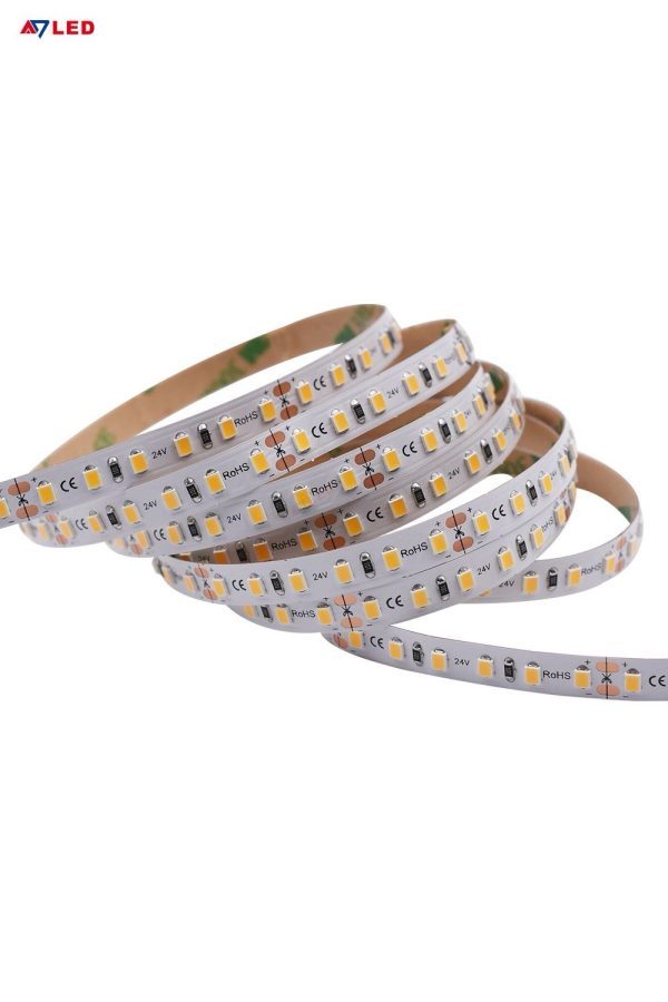 24V Single Tapelight (10M) Ww