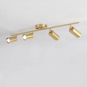 4 In 1 Tracklight Gd